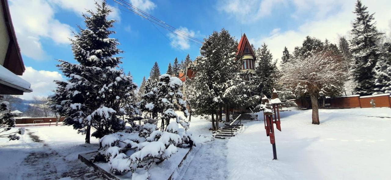 Perlyna Karpat Otel Slavske Dış mekan fotoğraf